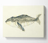 Humpback Whale Canvas Wall Art