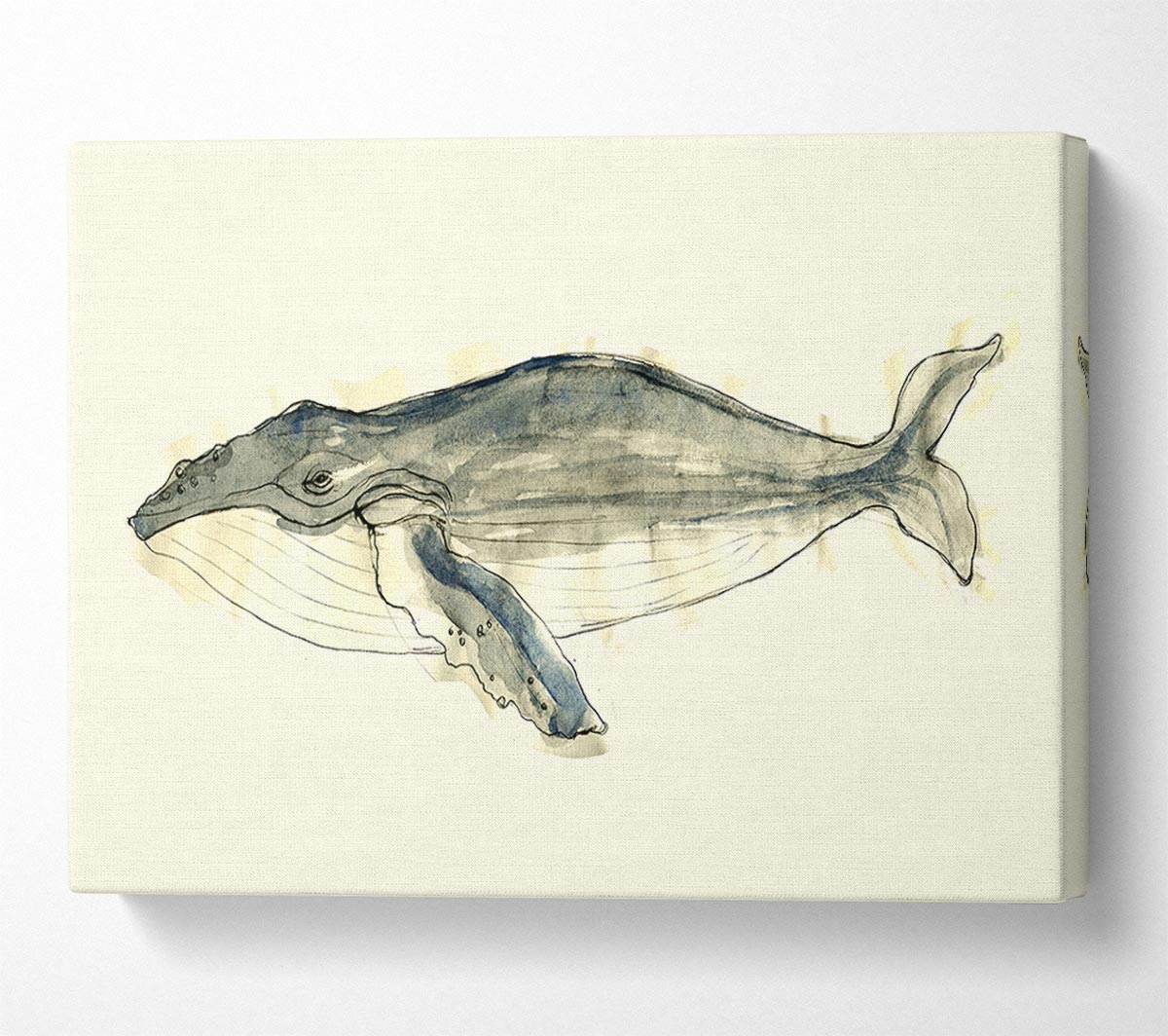 Humpback Whale Canvas Wall Art