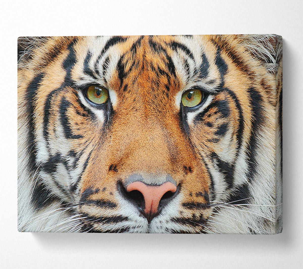 Tiger Beauty Canvas Wall Art