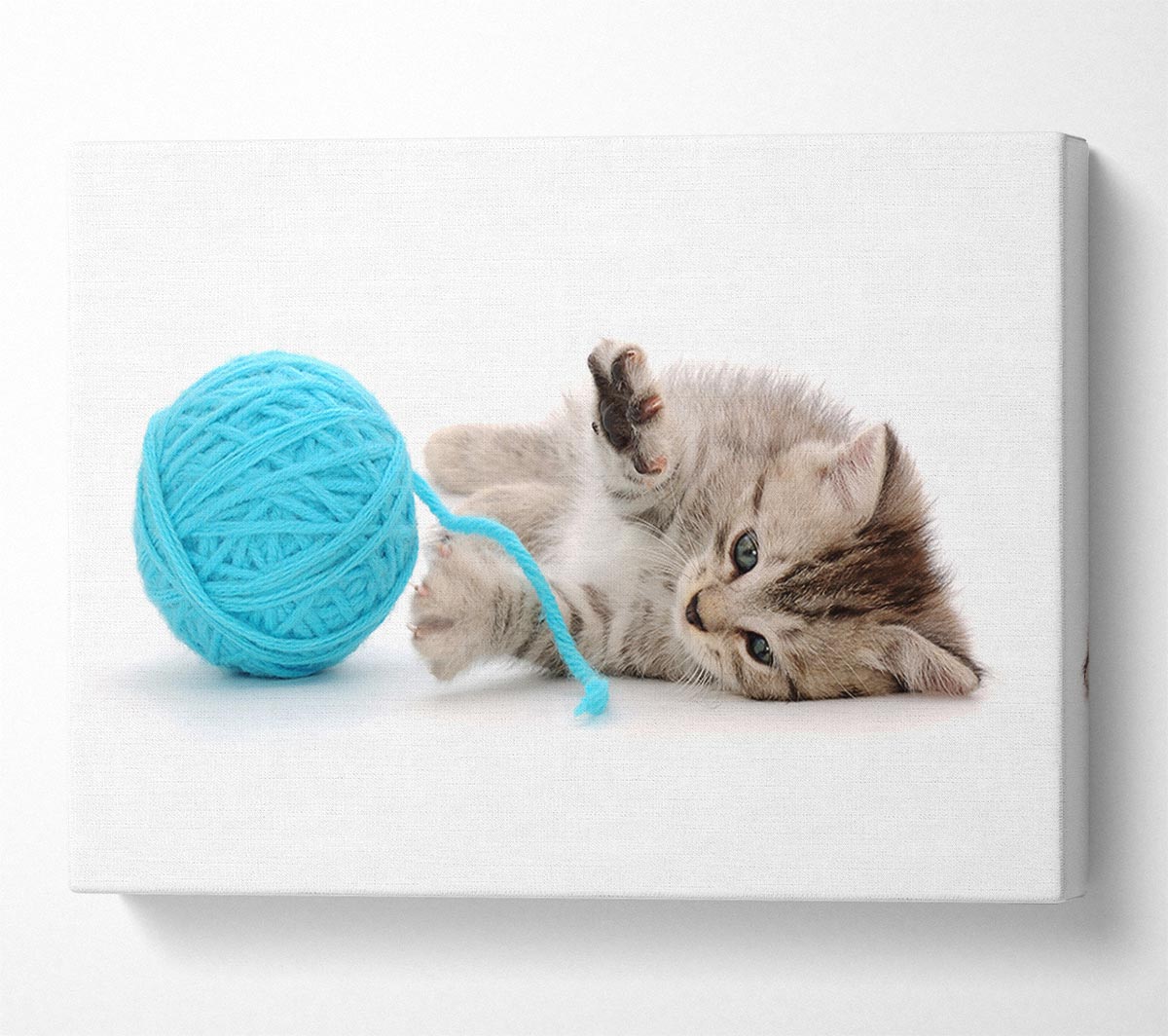 Kitten Cat Fun Canvas Wall Art