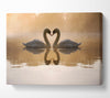 Swan Lake Love Canvas Wall Art