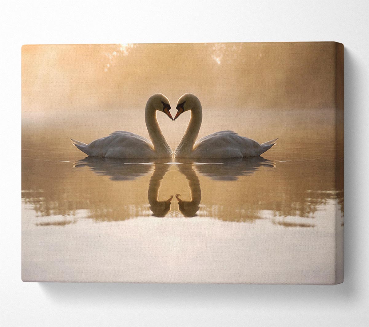 Swan Lake Love Canvas Wall Art