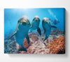 Inquisitive Dolphin Trio Canvas Wall Art