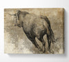 Bull Run Canvas Wall Art