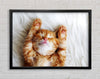 Cat Snooze Framed Wall Art
