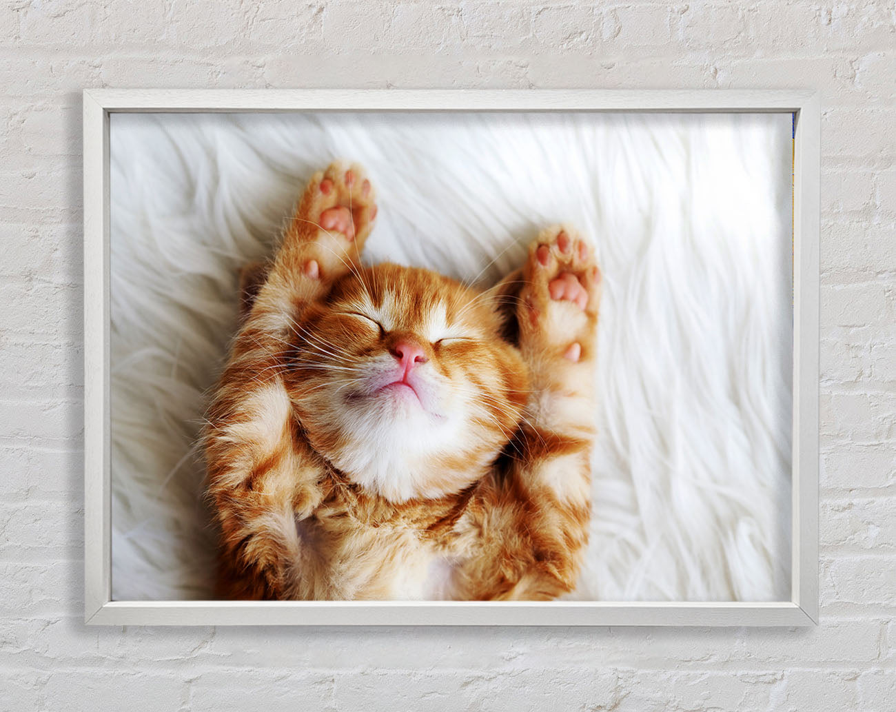 Cat Snooze Framed Wall Art