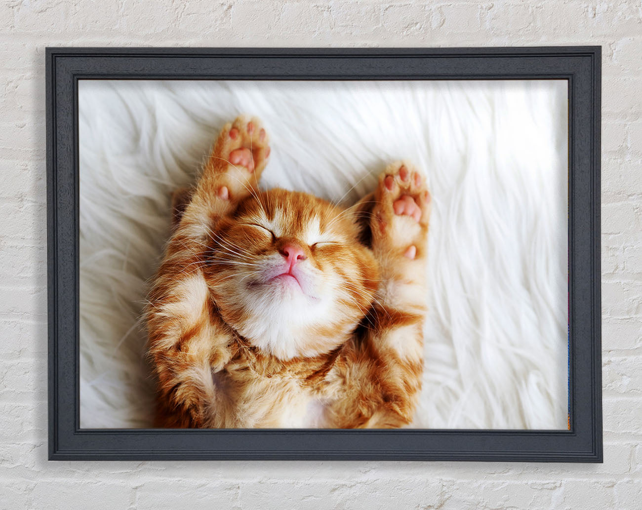 Cat Snooze Framed Wall Art