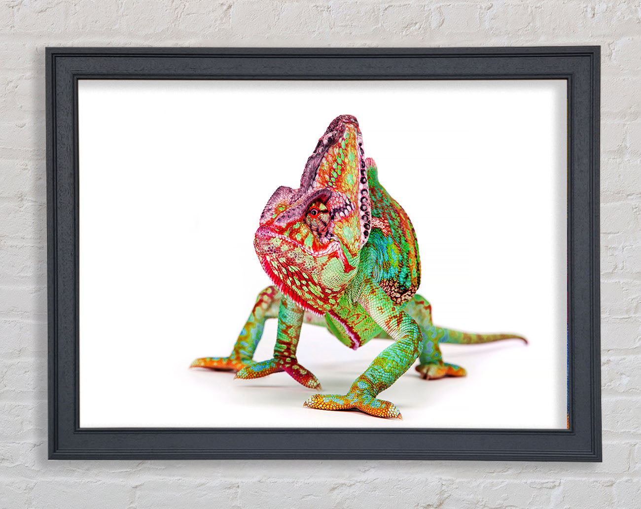 Chameleon Walk Framed Wall Art