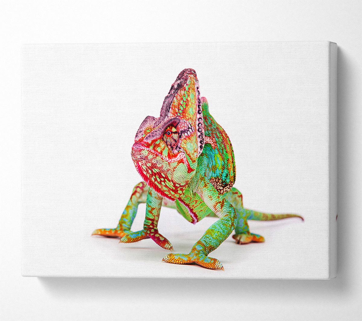 Chameleon Walk Canvas Wall Art