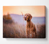 Vizsla Sunset Dog Canvas Wall Art