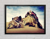 Camel Rest Framed Wall Art