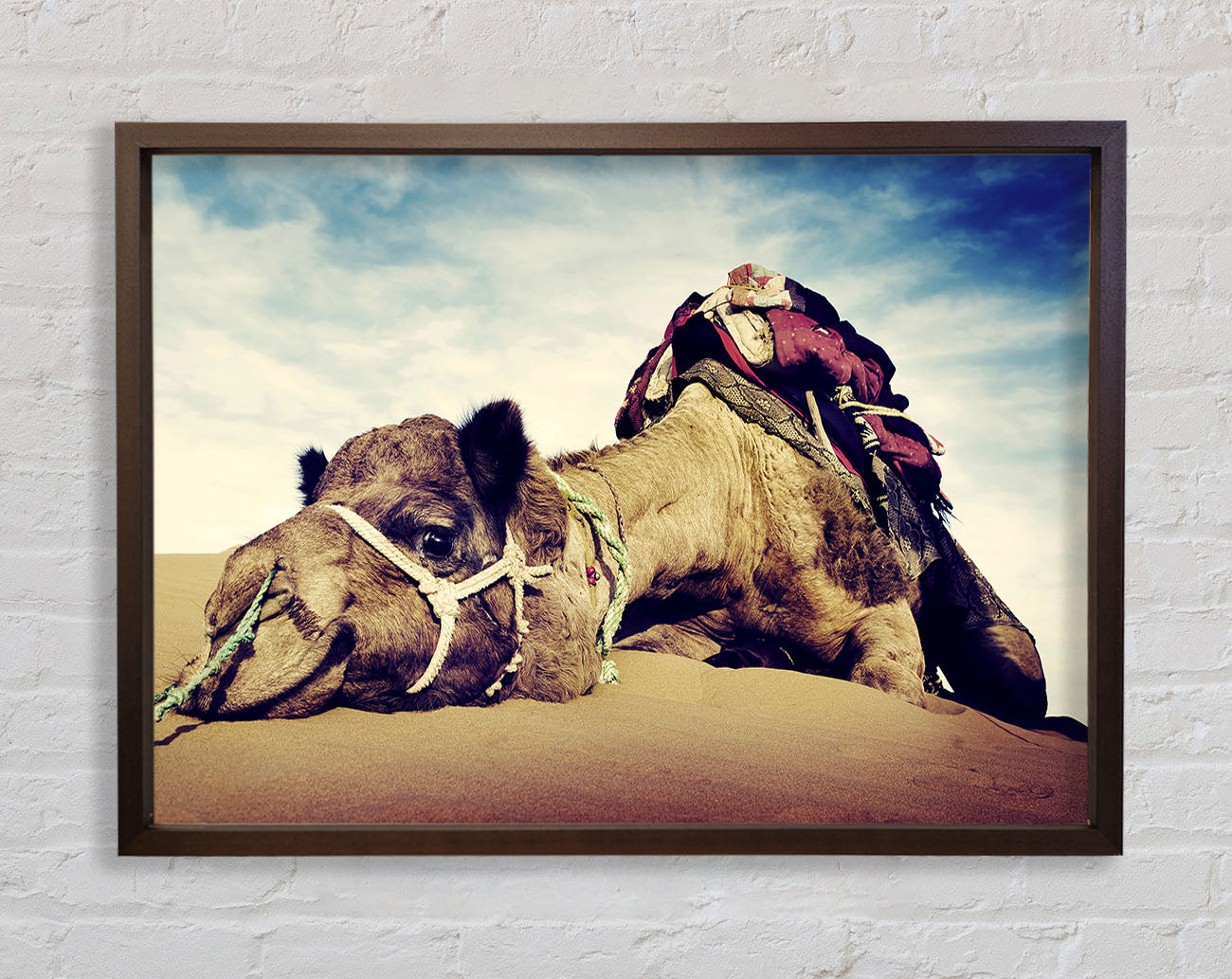 Camel Rest Framed Wall Art