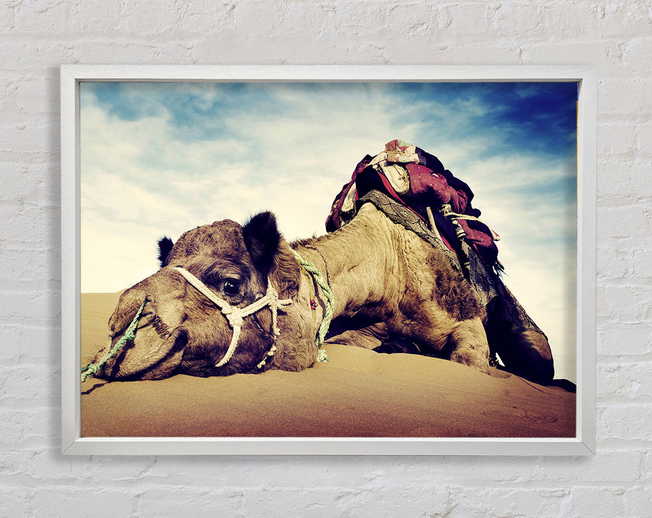 Camel Rest Framed Wall Art