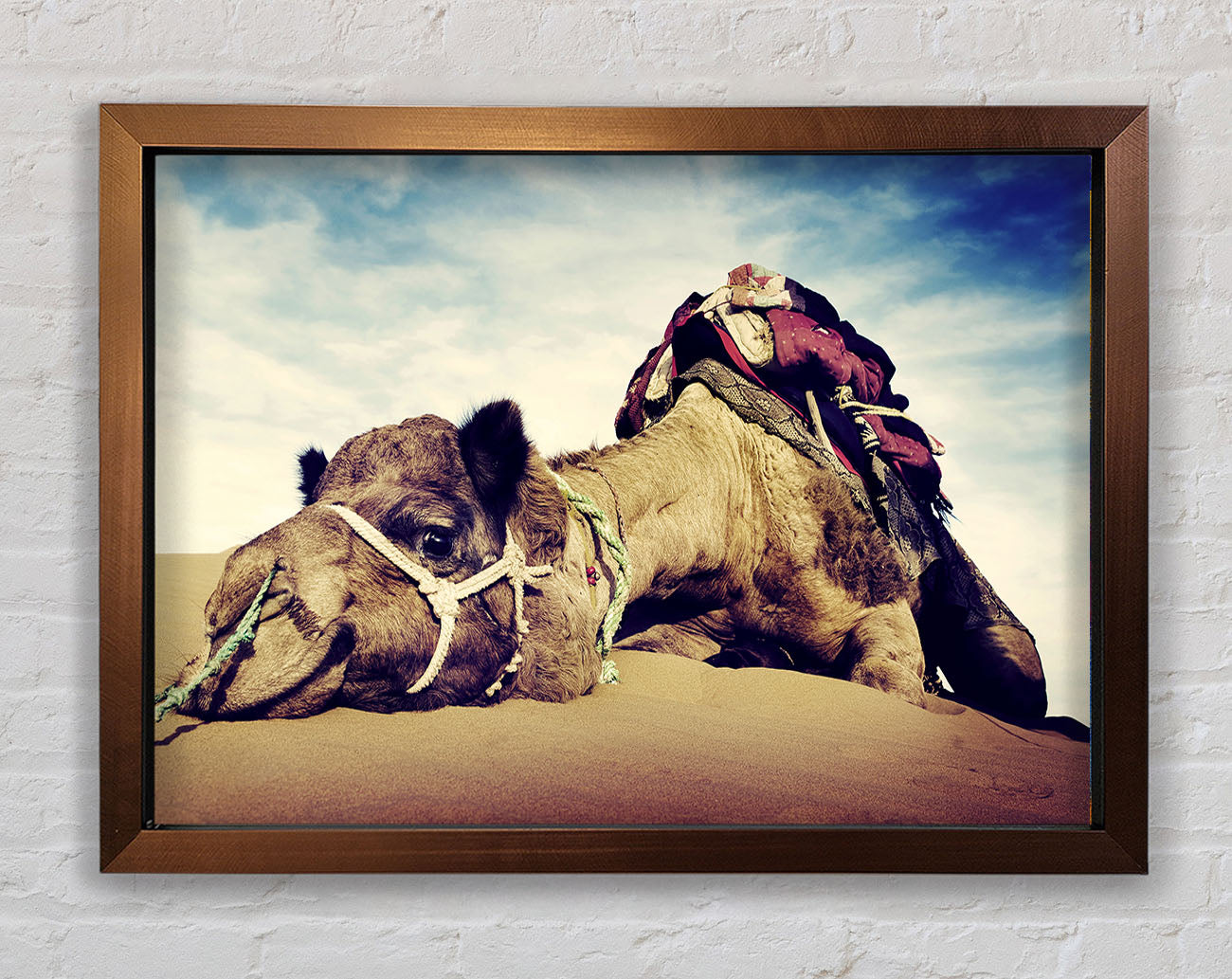 Camel Rest Framed Wall Art