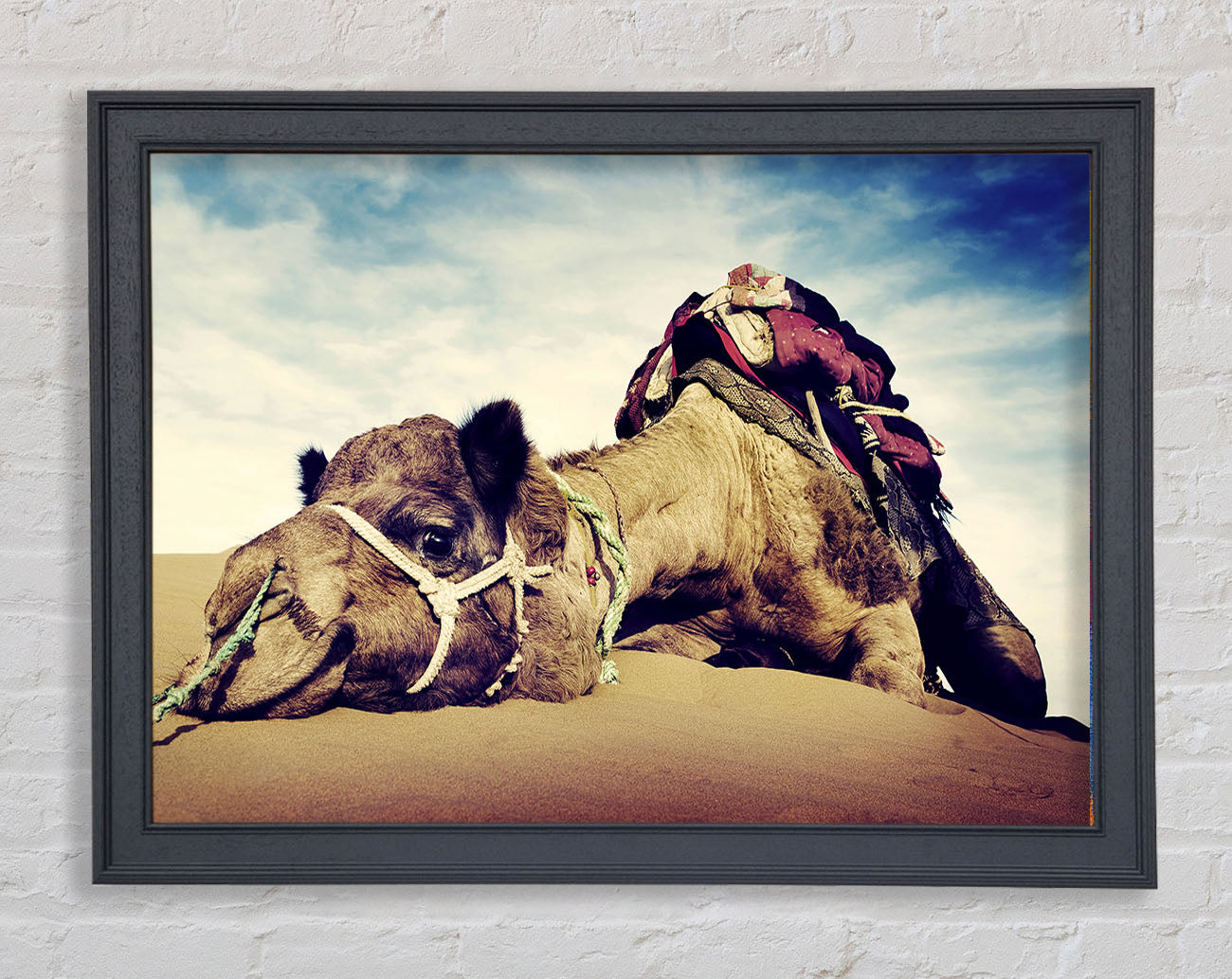 Camel Rest Framed Wall Art