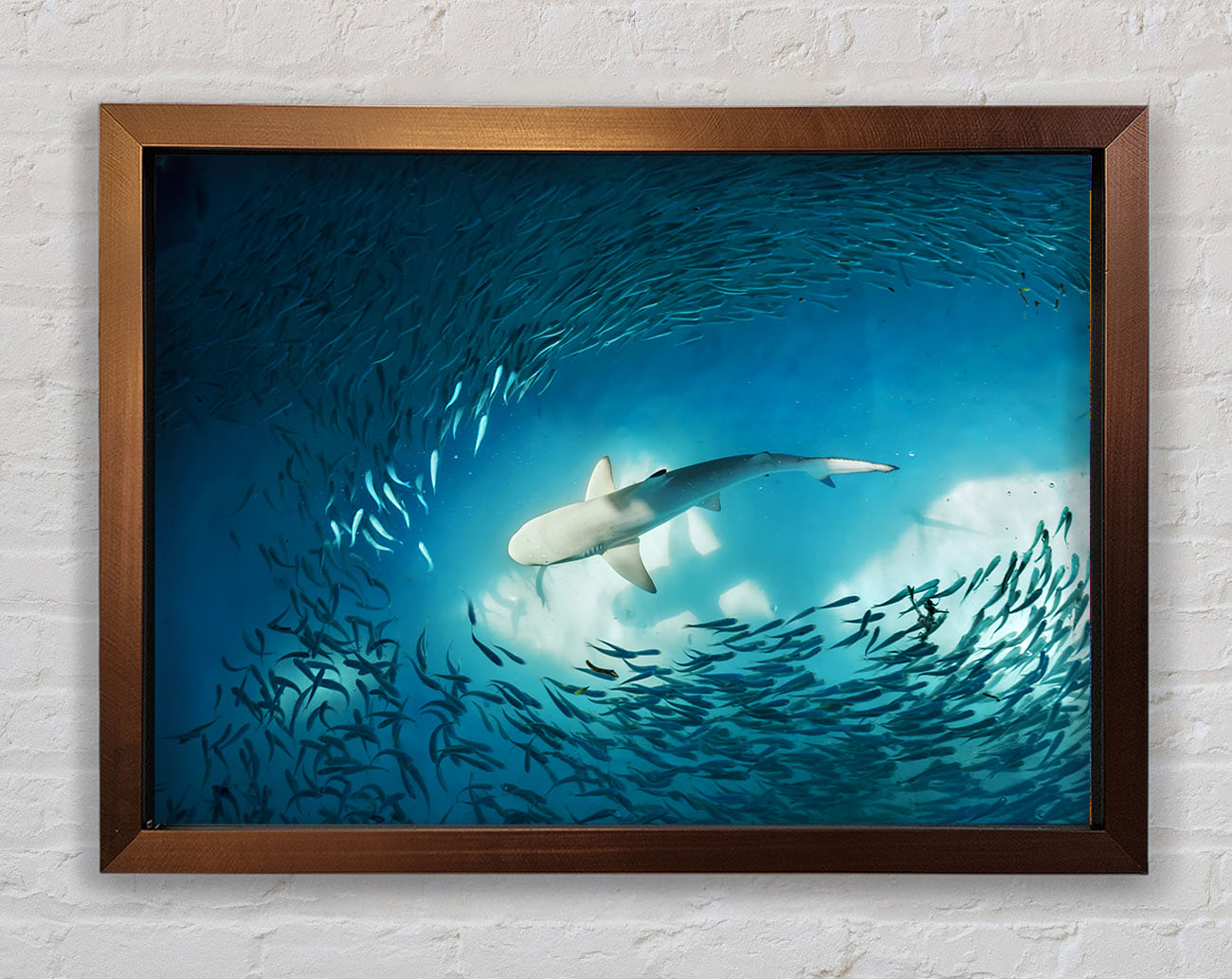 Avoiding the Shark Framed Wall Art