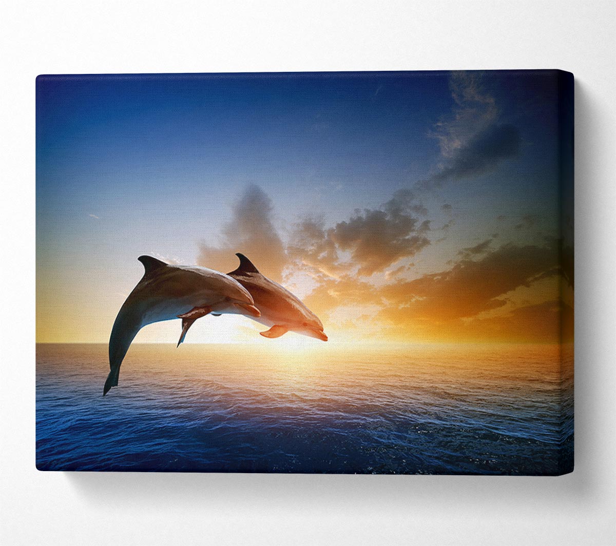 Jumping Sunset Dolphins Canvas Wall Art