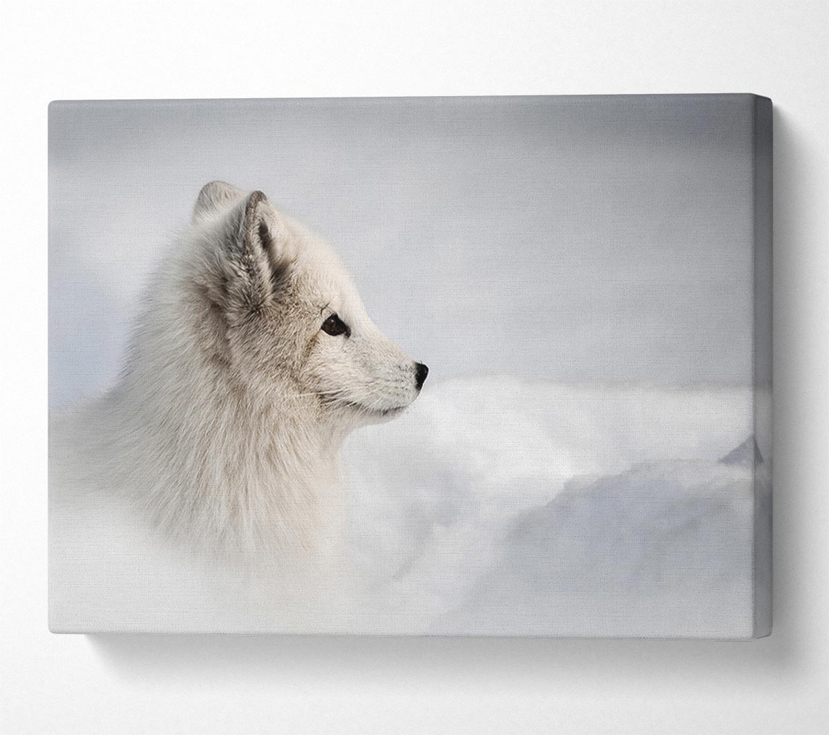 Snow Wonder Fox Canvas Wall Art