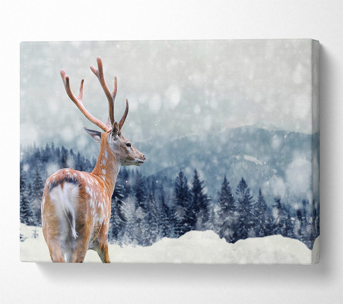 Winter Deer Canvas Wall Art