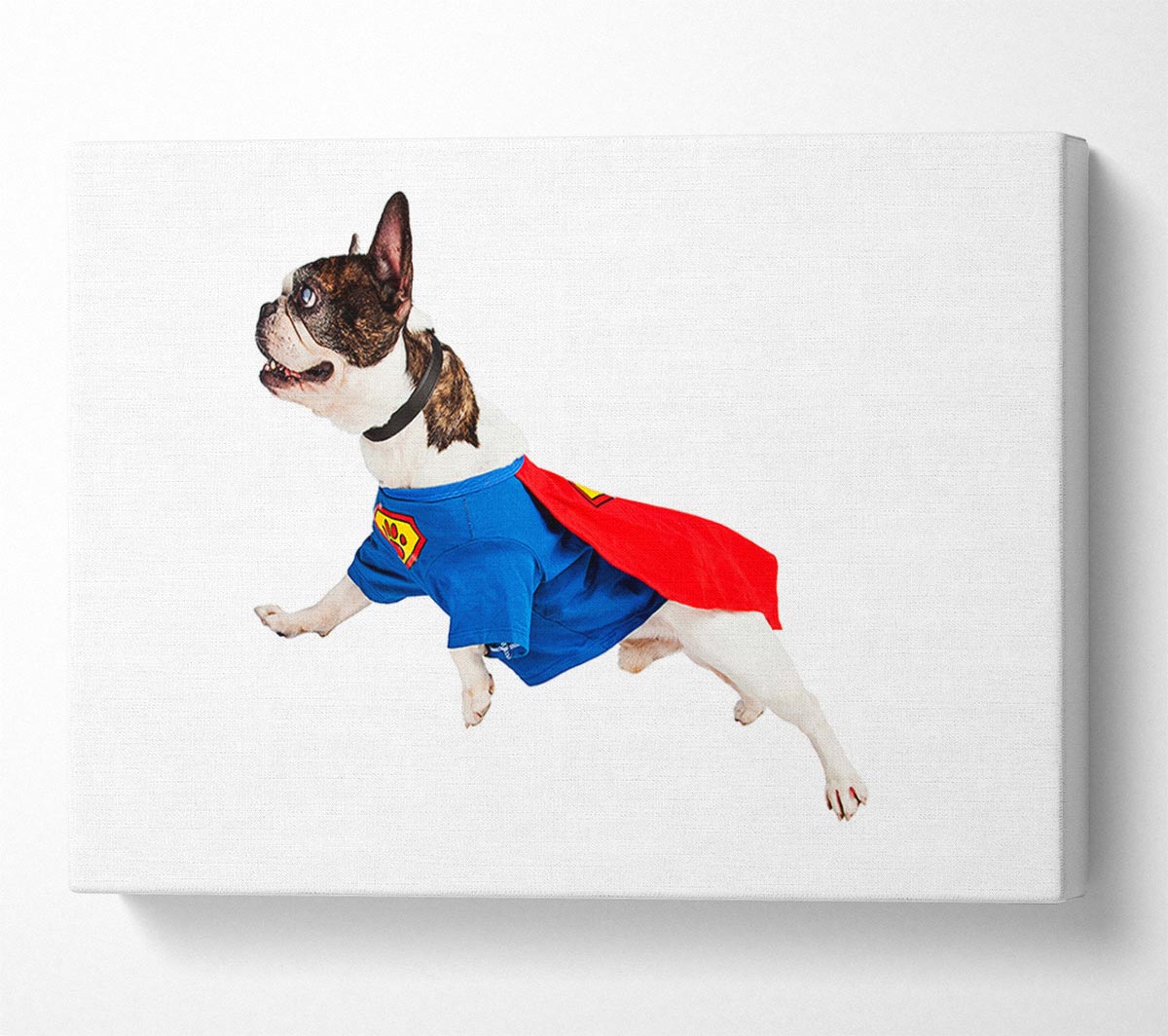 Super Dog Canvas Wall Art