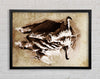 Bull Stare Framed Wall Art