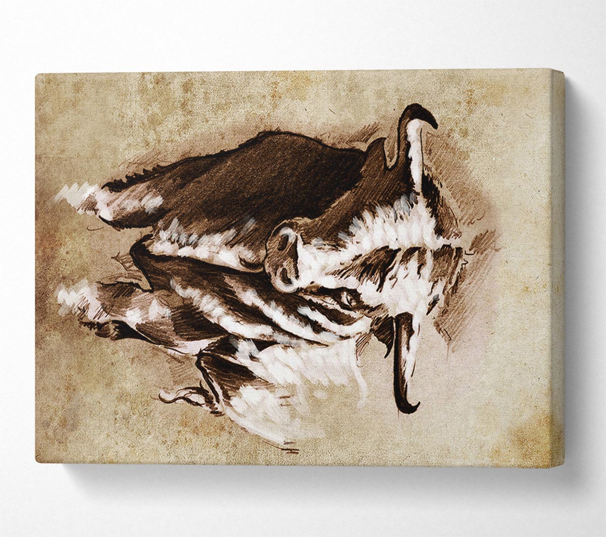 Bull Stare Canvas Wall Art