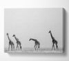 Giraffe Safari LineUp Canvas Wall Art