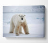 Polar Bear Snow Canvas Wall Art
