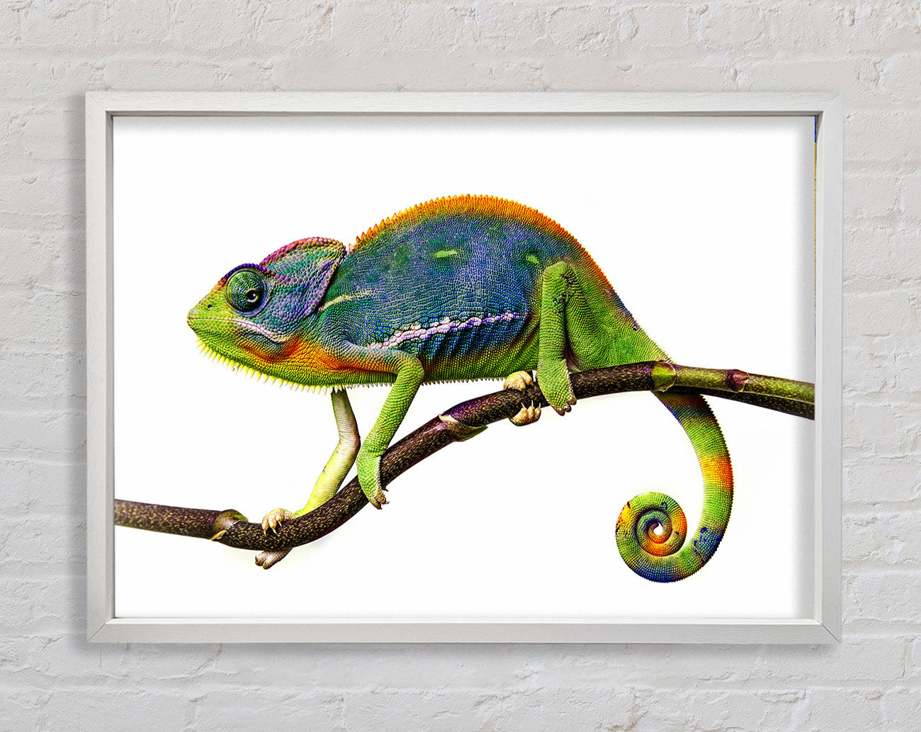 Chameleon Branch Framed Wall Art