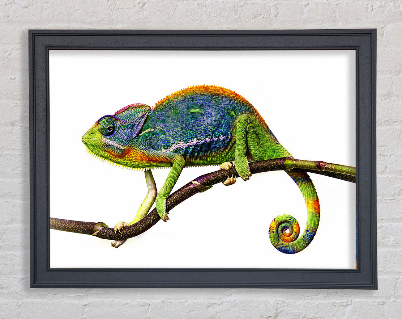 Chameleon Branch Framed Wall Art
