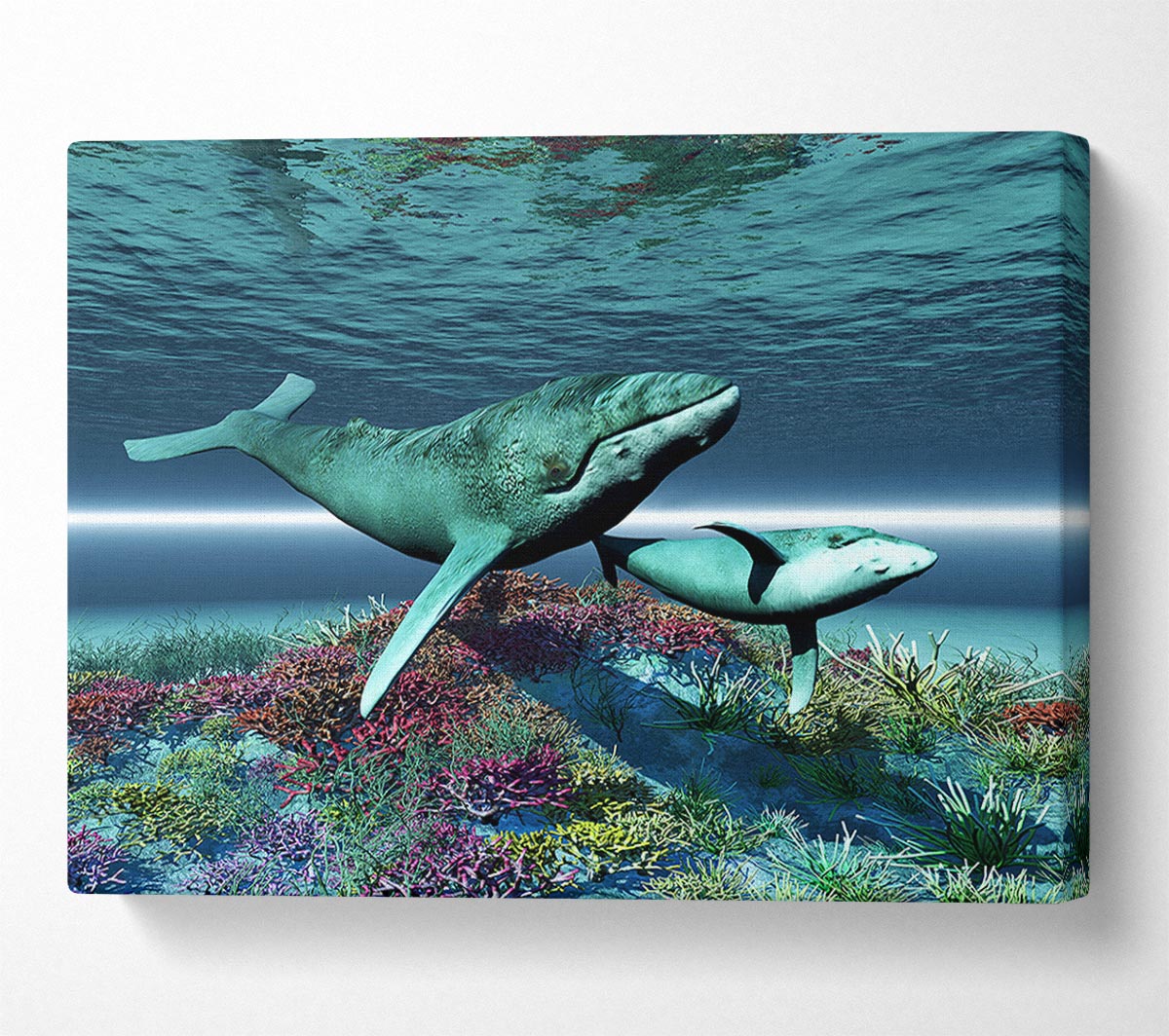 Whale Family Canvas Wall Art