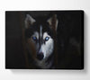 Husky Dog Wolf Face Canvas Wall Art
