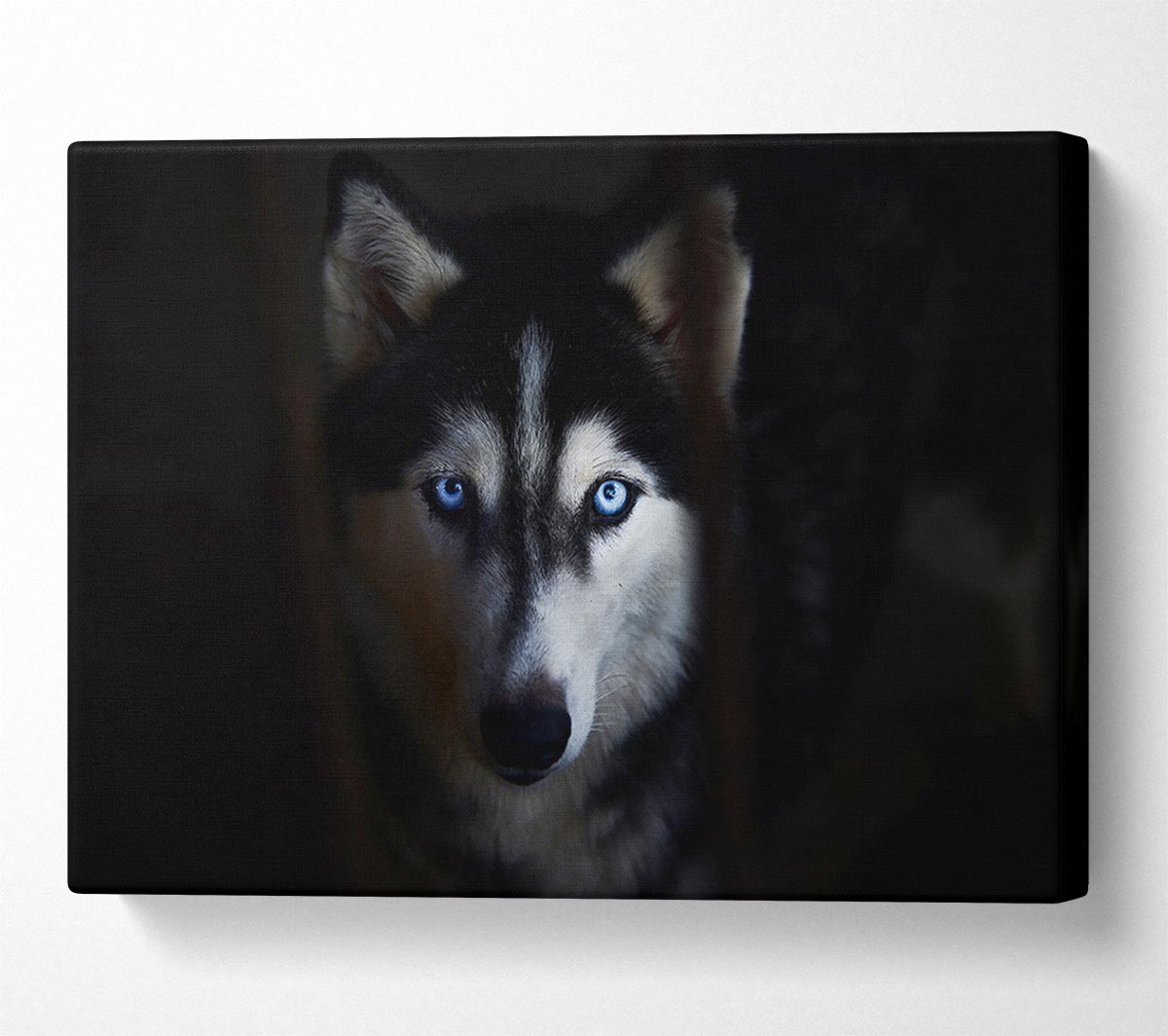 Husky Dog Wolf Face Canvas Wall Art