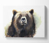 Grumpy Bear Canvas Wall Art