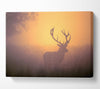 Sunset Stag Canvas Wall Art