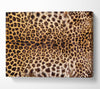 Cheetah Markings Canvas Wall Art