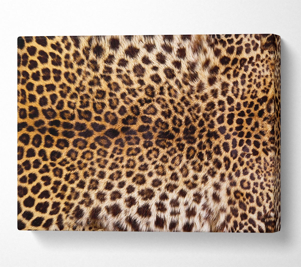 Cheetah Markings Canvas Wall Art