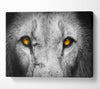 Lion Eyes Canvas Wall Art