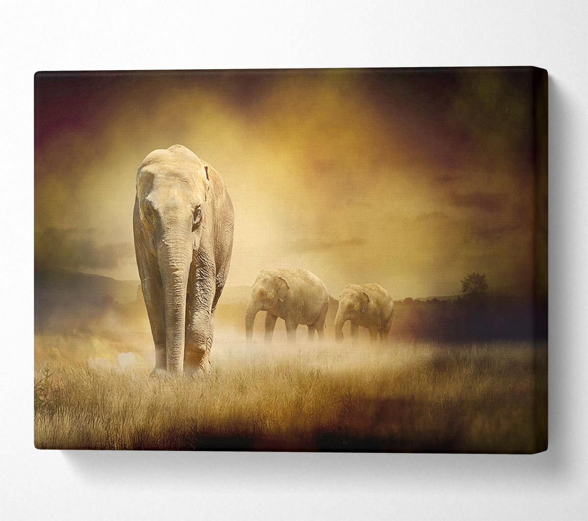 Stunning Elephant Pride Canvas Wall Art