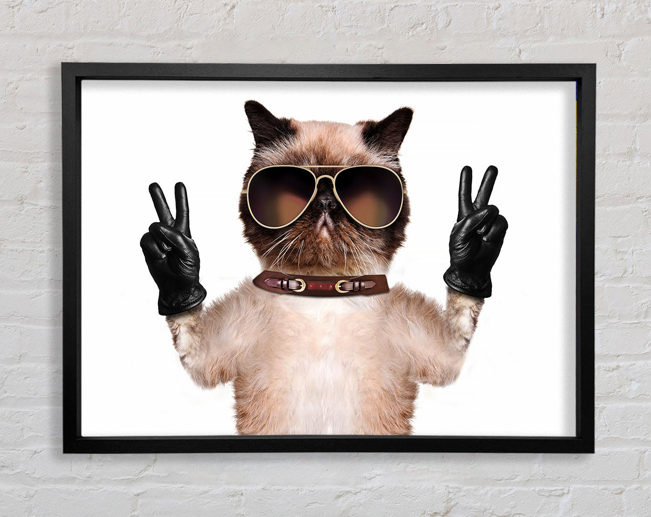 Cat Peace Framed Wall Art