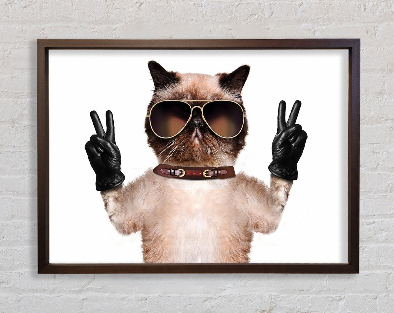 Cat Peace Framed Wall Art