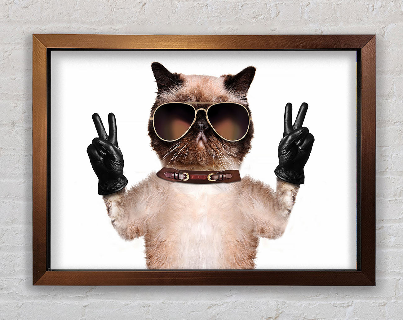 Cat Peace Framed Wall Art
