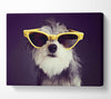Sunglasses Dog Pooch Canvas Wall Art