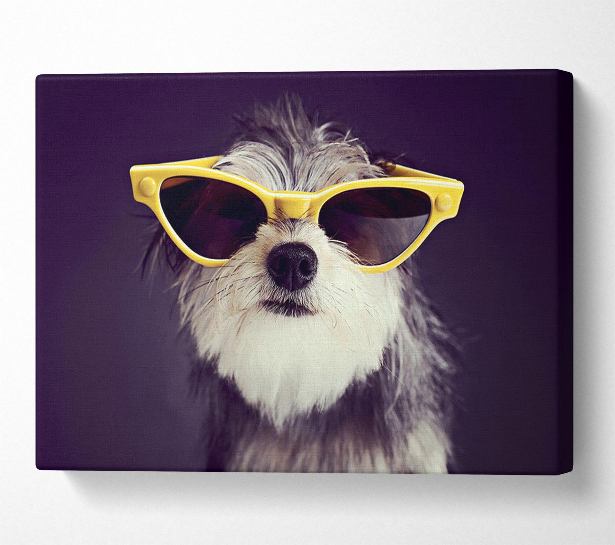 Sunglasses Dog Pooch Canvas Wall Art