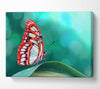 Butterfly Wings 1 Canvas Wall Art