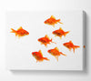 Goldfish Leader Canvas Wall Art