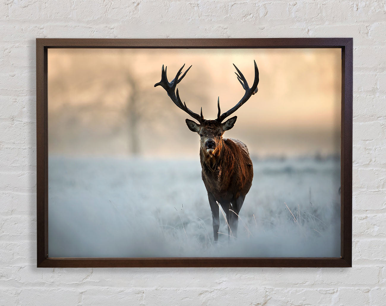 Beautiful Winter Stag Framed Wall Art