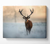 Beautiful Winter Stag Canvas Wall Art