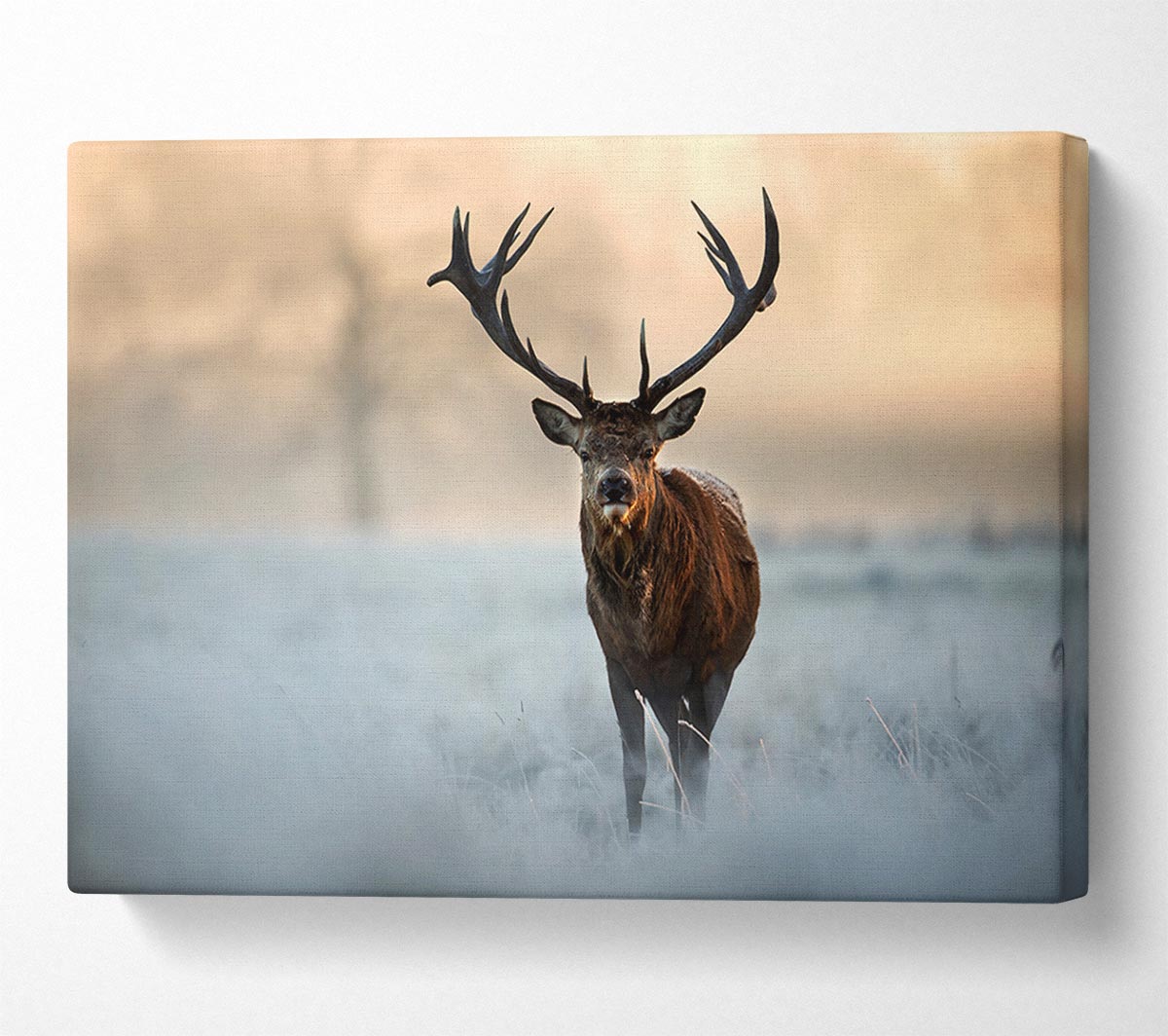 Beautiful Winter Stag Canvas Wall Art