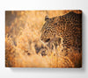 Leopard Wonder Canvas Wall Art